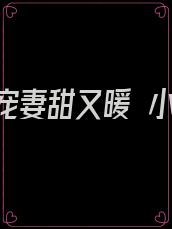 傅少宠妻甜又暖 小说
